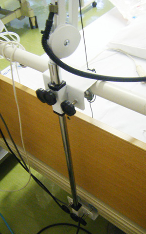 ���t���ʐ^