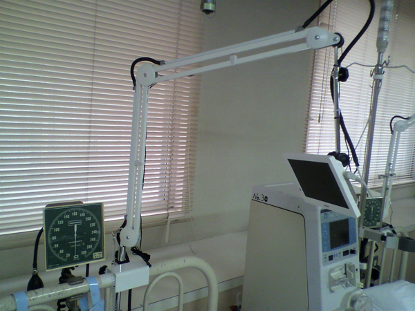 �x�b�h���t������